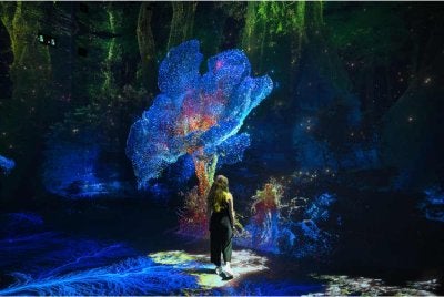 Seorang pengunjung merasai pengalaman visualisasi imersif daripada pameran sulung Machine Dreams: Rainforest yang dipamerkan di Dataland, Muzium Seni AI di Los Angeles.