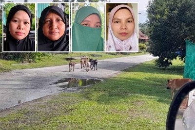 Anjing-anjing jalanan berkeliaran di kawasan kampung menyebabkan ketakutan dalam kalangan penduduk. - Gambar kecil dari kiri Nor Faizatul Nadia, Norazrin, Tuan Azizam dan Nor Faizah 
