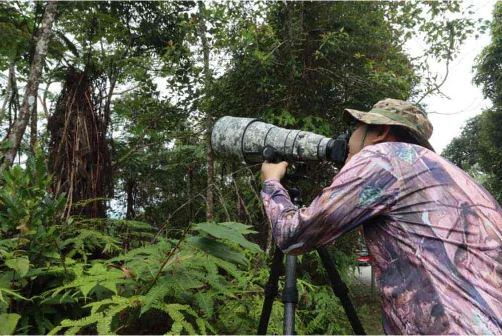 Kehadiran pelbagai spesies burung itu menyumbang kepada kepelbagaian biodiversiti yang menjadi tarikan utama kepada komuniti pemerhati burung dari seluruh dunia.
