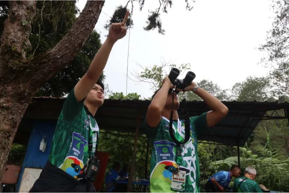 Peserta merakam pelbagai spesies burung yang ditemui di sekitar kawasan Pertandingan Mengenal Burung Antarabangsa Bukit Fraser Kali Ke-37.