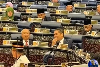 Muhyiddin ditempatkan bersebelahan Radzi di Dewan Rakyat