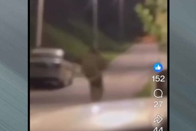 Tangkap layar video tular memaparkan lelaki memakai pakaian menyerupai pasukan keselamatan.