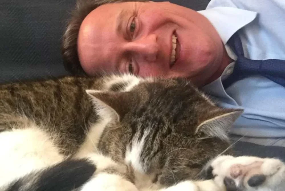 David Cameron bergambar bersama Larry di No. 10 Downing Street. Foto ihsan Lord Cameron.