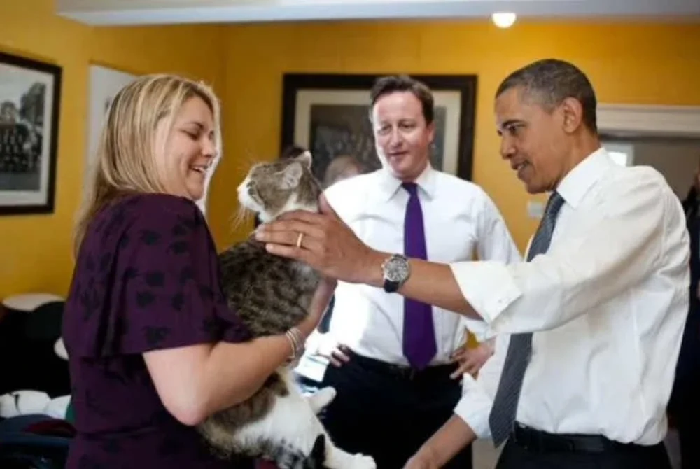 Larry ketika diusap oleh Obama di No. 10 Downing Street pada tahun 2011. Foto: Pete Souza.