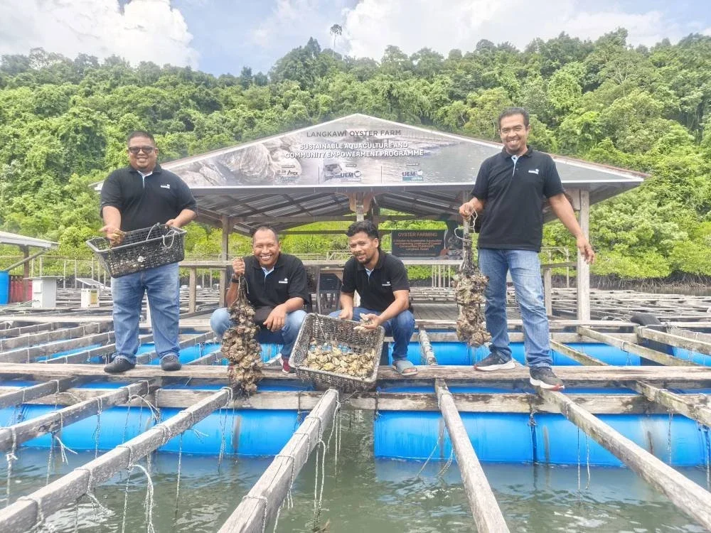Mohd Fakarudin, Razi, Azrulfaizal dan Mohammad Najuddin menunjukkan tiram yang sudah boleh dikutip dan dijual kepada pelanggan.