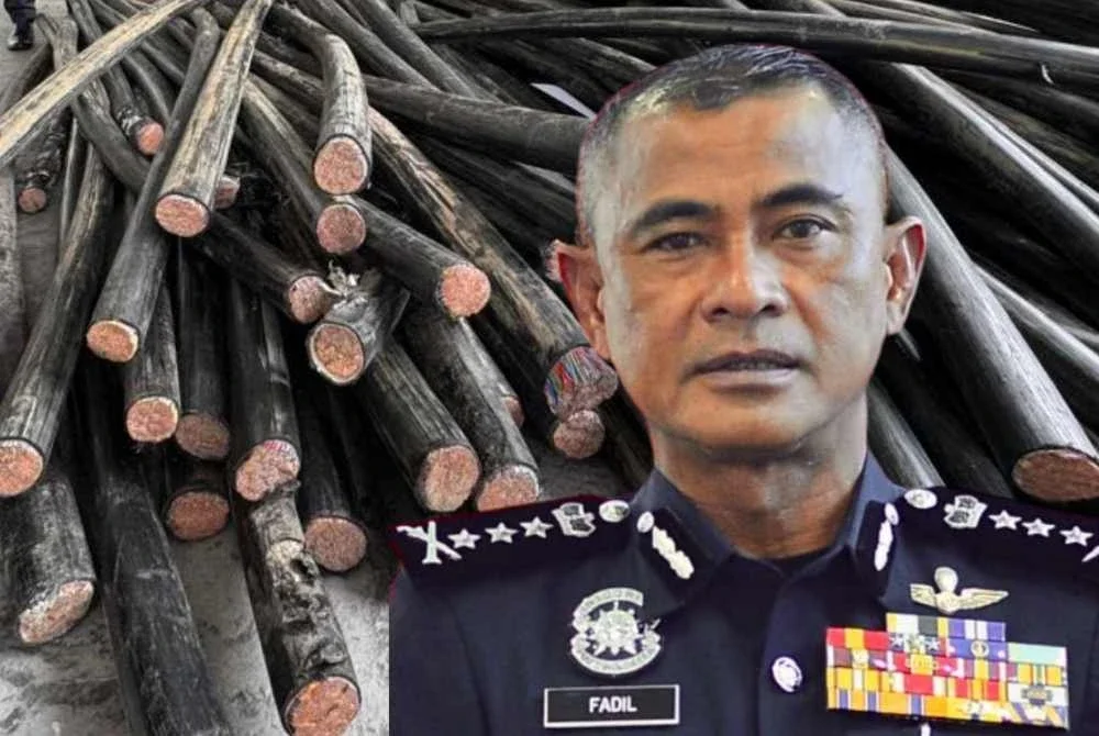 Fadil Marsus