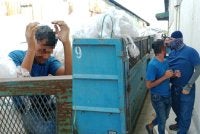 Warga asin sanggup bersembunyi di sebalik timbunan sampah dalam tong roro ketika serbuan Ops Mega sebuah kilang perabot Telok Gong di sini pada Rabu.
