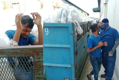 Warga asin sanggup bersembunyi di sebalik timbunan sampah dalam tong roro ketika serbuan Ops Mega sebuah kilang perabot Telok Gong di sini pada Rabu.