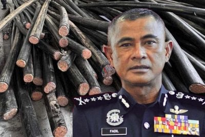Fadil Marsus