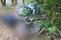 Ular itu menggigit kaki kiri lalu membelit tubuh mangsa. Foto Agensi
