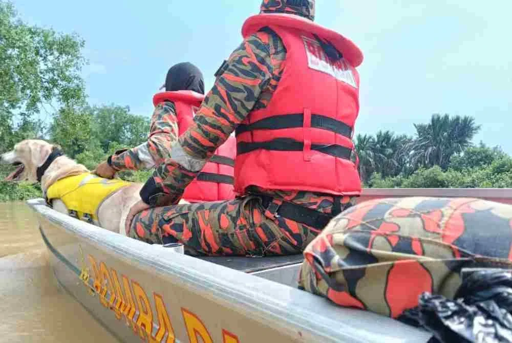JBPM menggunakan khidmat K9 bagi mengesan mangsa yang dilapor hilang selepas bot dinaiki terbalik pada Khamis. Foto: JBPM Selangor
