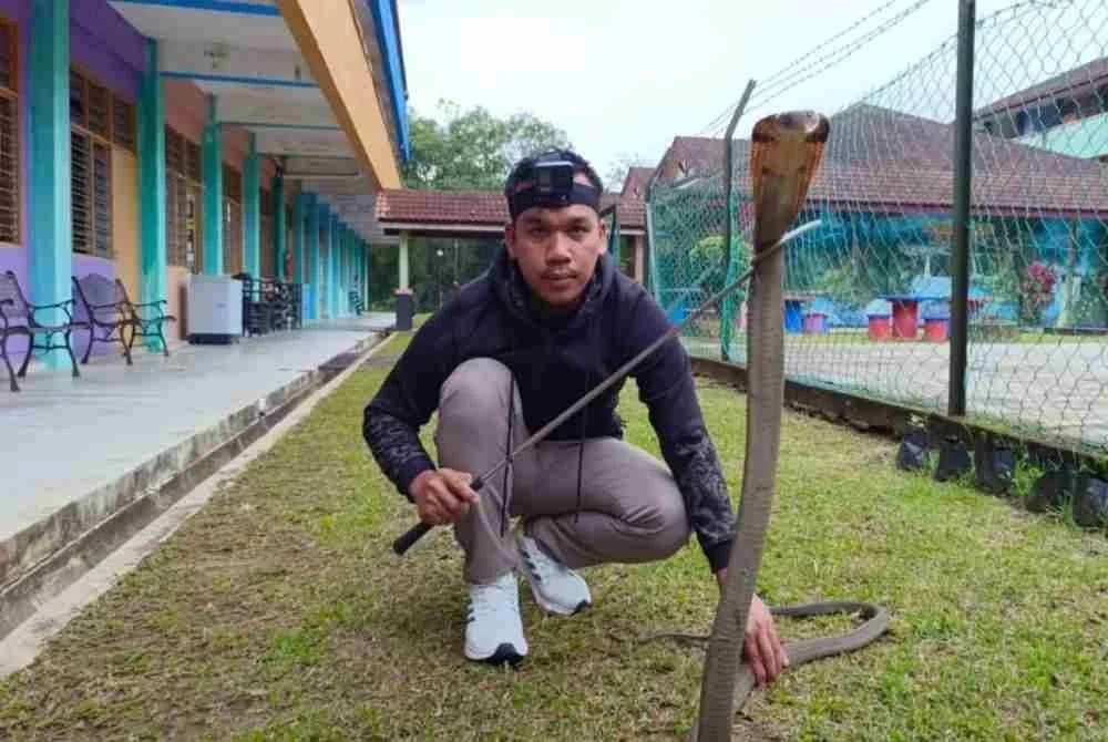 Safiq turut terlibat dalam khidmat sukarelawan menangkap ular di luar waktu bertugas.