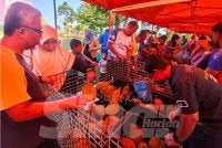 Orang ramai mengambil kesempatan membeli durian musang king pada harga murah.