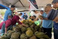 Sebahagian daripada ratusan pelanggan tidak melepaskan peluang memilih durian campuran pelbagai varieti yang dijual pada harga promosi serandah RM1 sebiji di Kedai Durian Maiz, Kampung Bukit Tunggal, Kuala Nerus. 