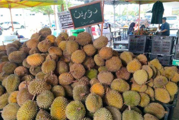 Durian Batu Kurau dijual RM4 sekilogram sempena Program Jualan Agro Madani Mega @ Pusat Transformasi Luar Bandar (RTC) Perak di Pentas Utama RTC Perak pada Sabtu.