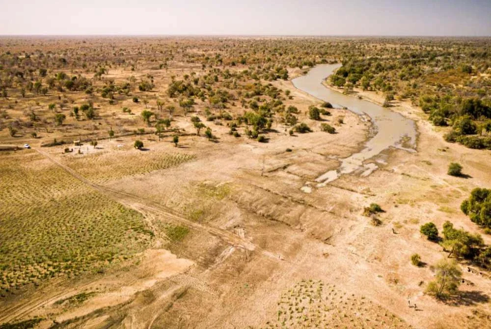 Chad berdepan cabaran besar akibat kemarau berpanjangan dan penyusutan sumber air. - FOTO:PETERCATON