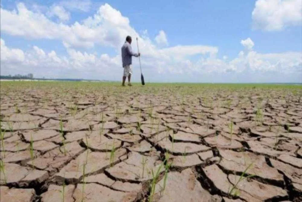 Perubahan corak hujan di Madagascar menyebabkan pengeluaran makanan merosot sehingga meningkatkan kadar kebuluran. - FOTO: FTR