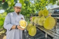Ahmad Maher menunjukkan buah durian yang dijual. 