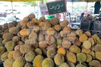 Durian dari Batu Kurau kini dijual serendah RM4 sekilogram akibat lambakan durian di Perak.