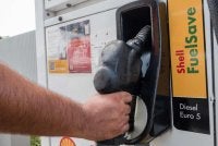 Portal rasmi BUDI MADANI setakat 11 pagi ini menerima lebih 13,000 permohonan baharu bagi tambahan had kelayakan 100 liter diesel bersubsidi sebulan untuk pemilik kenderaan diesel jenis pikap dan jip yang layak.