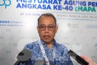 Abdul Fattah 