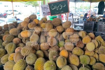 Durian dari Batu Kurau kini dijual serendah RM4 sekilogram akibat lambakan durian di Perak.
