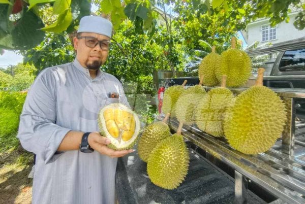 Ahmad Maher menunjukkan buah durian yang dijual. 