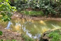 Lokasi kejadian mangsa dilihat ditarik oleh buaya sebelum ditemukan maut dalam kejadian di sungai Dent Heaven Kampung Tagupi, Lahad Datu.