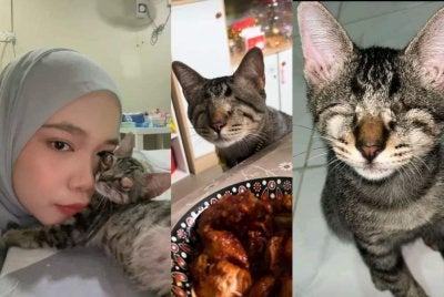 Raihah bersama Tebi sebelum mata terpaksa dibuang akibat jangkitan. Foto: TikTok @reiiinsho