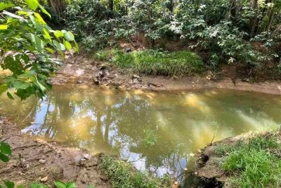 Lokasi kejadian mangsa dilihat ditarik oleh buaya sebelum ditemukan maut dalam kejadian di sungai Dent Heaven Kampung Tagupi, Lahad Datu.