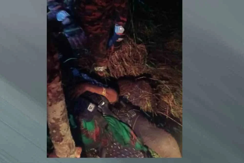 Mangsa ditemui kira-kira 20 meter dari tebing gaung di kawasan Padang Tok Sheikh, Gunung Jerai, hasil tindakan pantas pasukan penyelamat yang digerakkan selepas menerima panggilan kecemasan.