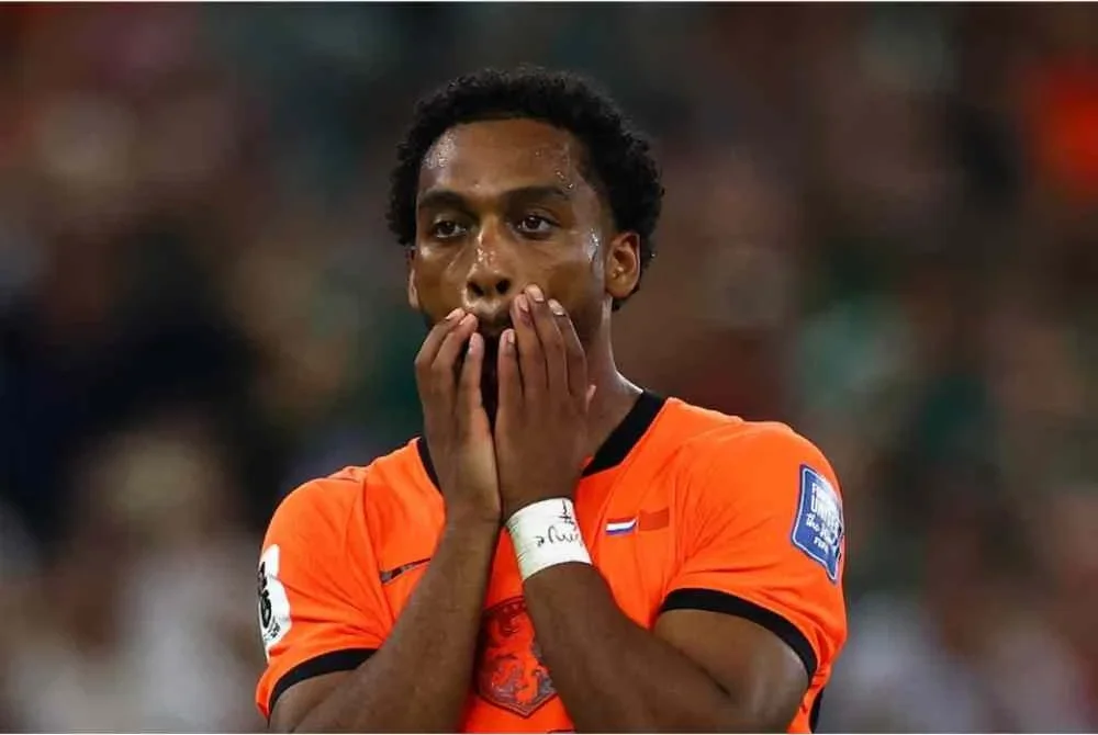 Pemain Belanda jadi sasaran hinaan perkauman