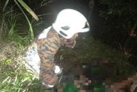 Seorang lelaki yang dilaporkan hilang selepas dipercayai terjatuh ke dalam gaung ketika mendaki Gunung Jerai ditemukan selamat selepas hampir tiga hari terperangkap di kawasan curam.