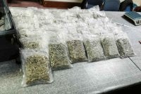 Antara bunga ganja yang dirampas hasil kerjasama antara AKPS dan AVSEC di KLIA pada Isnin. - FOTO: AKPS