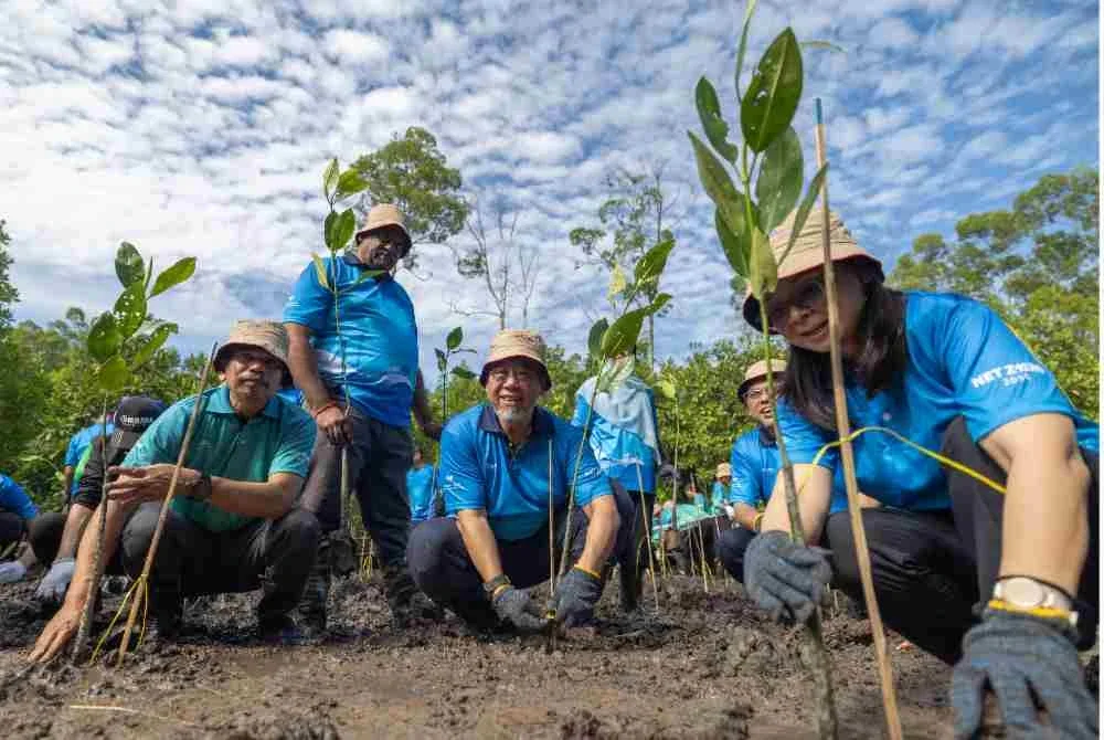 Shamsul (tengah) bergambar ketika menanam pokok bakau ketika hadir pada program My Brighter Green Tenaga Nasional Berhad di Tanjung Burung, pada Rabu. Foto Bernama 