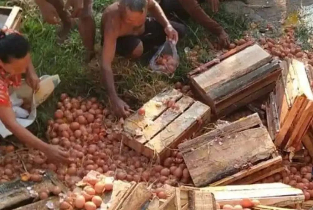 Bagaikan pesta telur, orang ramai mengambil kesempatan mencuri. Foto: TribunPurbalingga