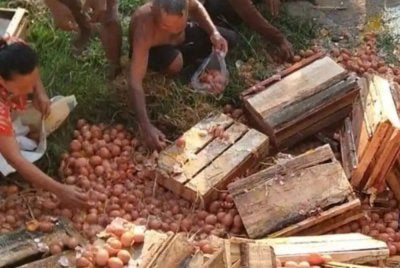 Bagaikan pesta telur, orang ramai mengambil kesempatan mencuri. Foto: TribunPurbalingga