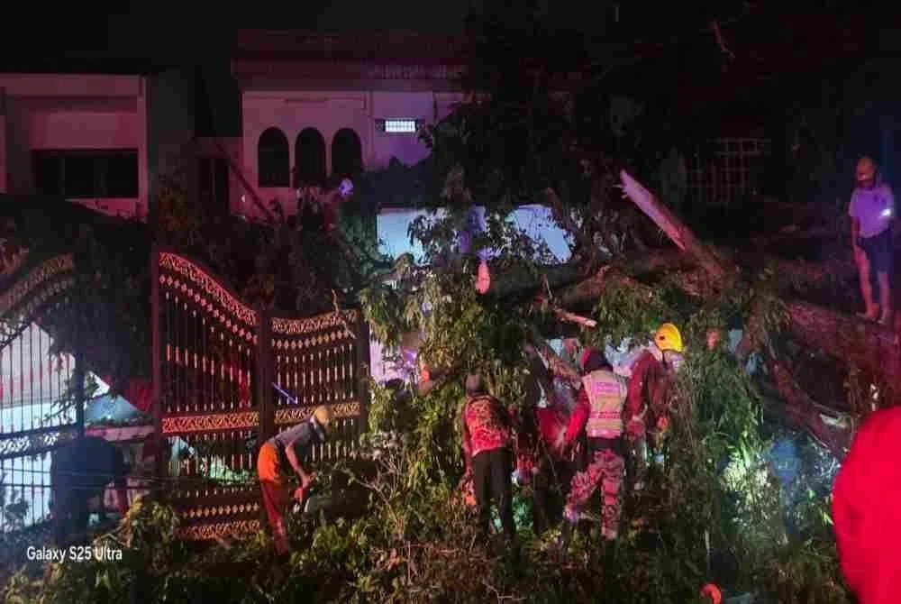 Sebuah kereta rosak akibat ditimpa sebatang pokok ketika kejadian angin kuat pada malam Khamis.