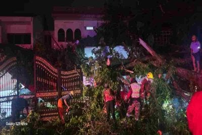 Sebuah kereta rosak akibat ditimpa sebatang pokok ketika kejadian angin kuat pada malam Khamis.