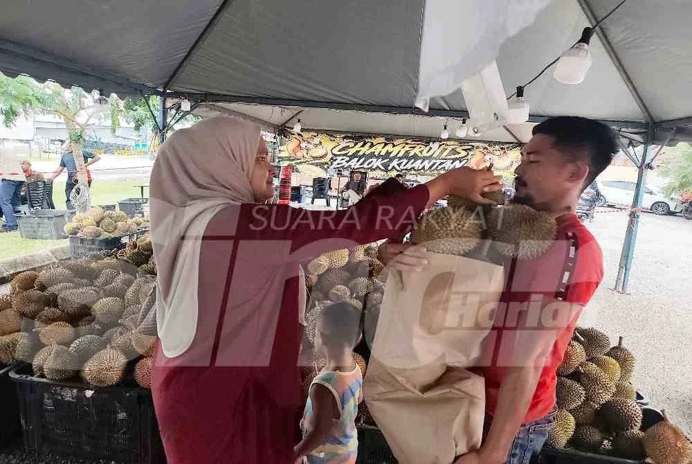 Nurul Syakila masih mengisi durian yang sudah penuh guni..