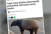 Kes itu mendapat perhatian meluas selepas rakaman pembunuhan tapir berkenaan tular di media sosial.
