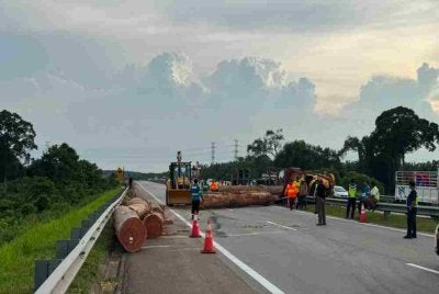 Laluan di Kilometer 136.2 LPT1 arah barat ditutup kira-kira satu jam ekoran kemalangan melibatkan lori balak terbalik menyebabkan muatan kayu balak dibawa jatuh dan menghalang laluan itu pada petang Isnin. Foto Polis Maran 