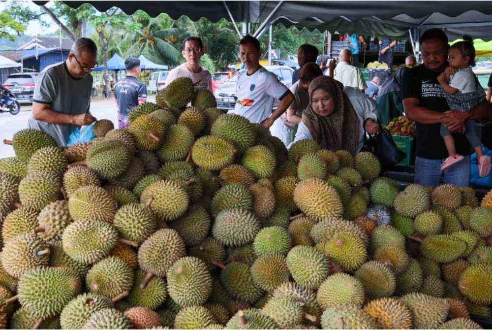 Orang ramai tidak lagi sekadar bertanya harga, malah terus memilih dan menikmati durian di situ juga. Gambar hiasan. Foto Bernama 