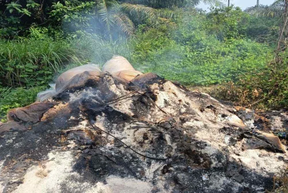 JAS kenal pasti kesan pembakaran haram membabitkan longgokan sisa buangan di dalam ladang kelapa sawit di Kulim. Foto JAS