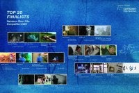 Sebanyak 20 filem terbaik dipilih sebagai finalis untuk bersaing dalam lapan kategori anugerah sempena festival.