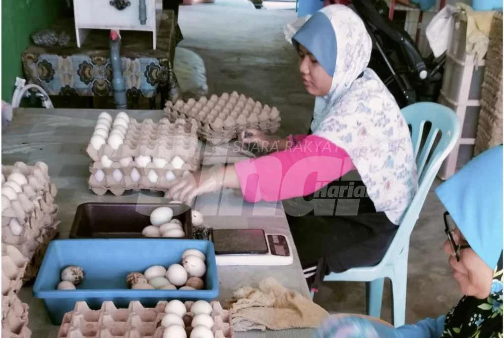Penduduk kampung turut mendapat peluang menjana pendapatan tambahan menerusi projek berkenaan.