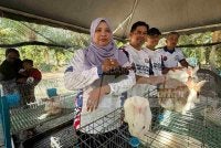 Projek ternakan arnab diusahakan menerusi program Sejati Madani beri pulangan lumayan kepada peserta.