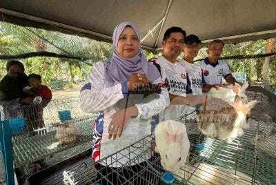 Projek ternakan arnab diusahakan menerusi program Sejati Madani beri pulangan lumayan kepada peserta.