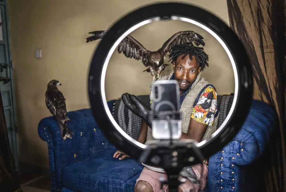Magutha memberi makan burung-burung yang dipeliharanya sambil merakam video di kediamannya di Kayole, Nairobi. Foto AFP