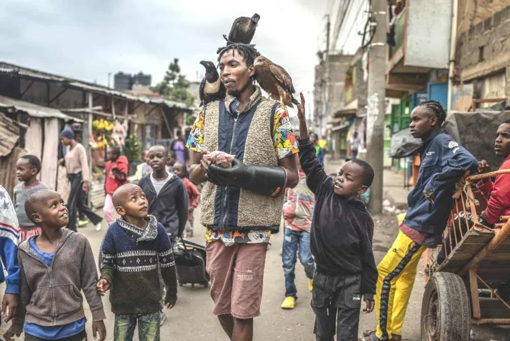 Seorang kanak-kanak menghulurkan tangan untuk menyentuh seekor burung yang dipelihara Maguthaa ketika dia berjalan di sekitar kawasan perumahannya. Foto AFP